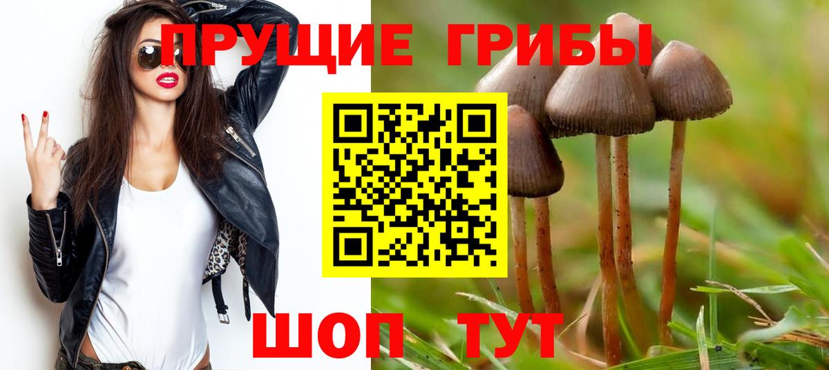 Галлюциногенные грибы GOLDEN TEACHER  Вход с VPN  Псилоцибиновые грибы мицелий  сколько стоит  Домодедово 