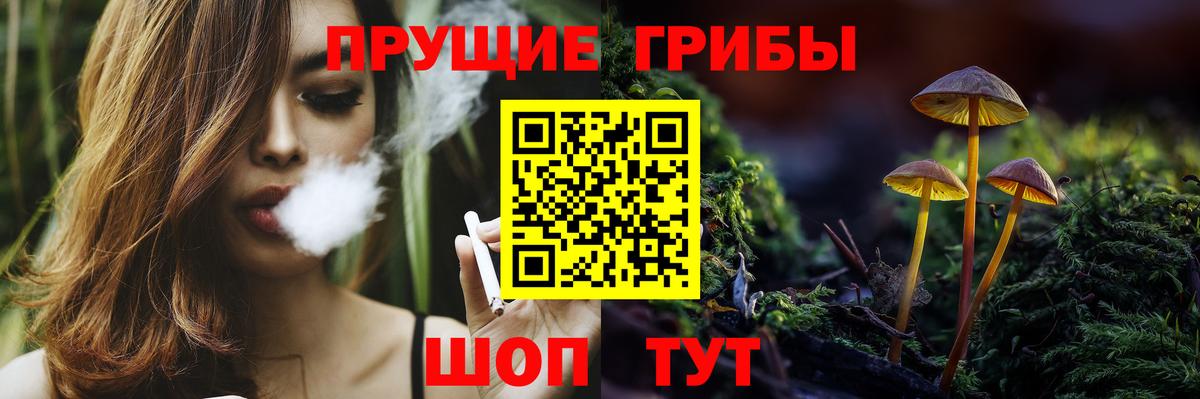 Псилоцибиновые грибы Psilocybine cubensis Домодедово